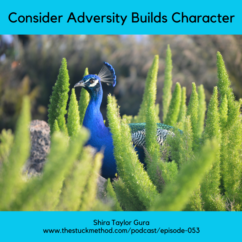 Examples Of How Adversity Builds Character